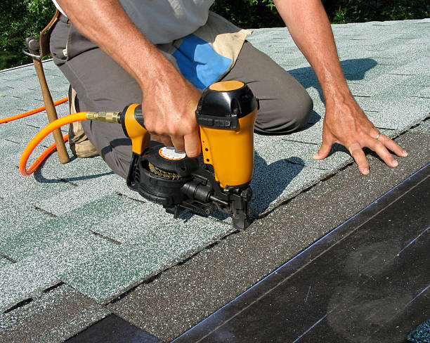 Best Shingle Roofing Installation  in North Brooksville, FL