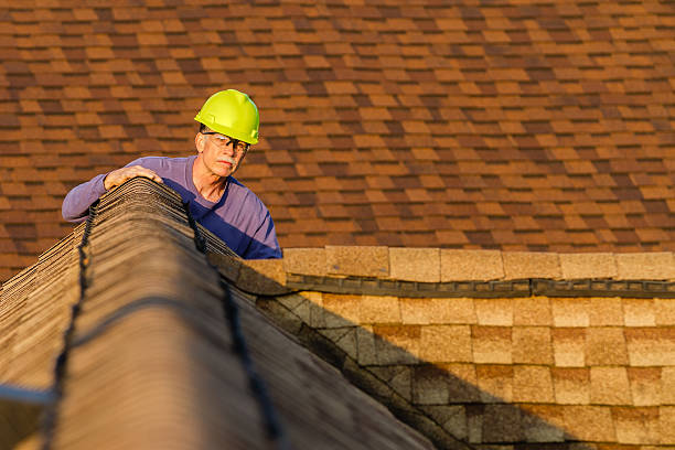 Best Metal Roofing Contractor  in North Brooksville, FL
