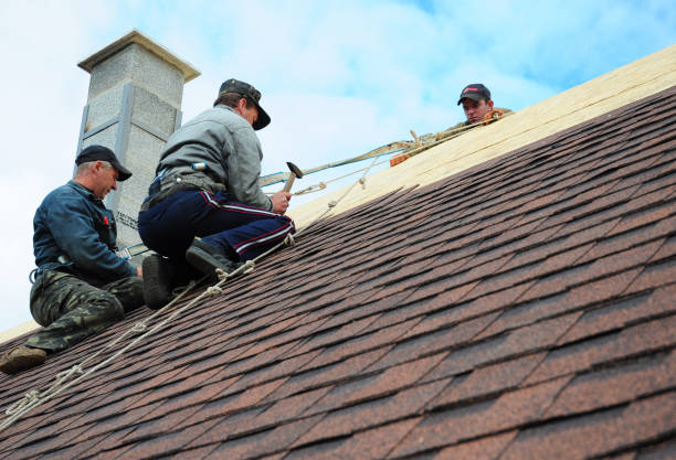 Best Commercial Roof Installation  in North Brooksville, FL